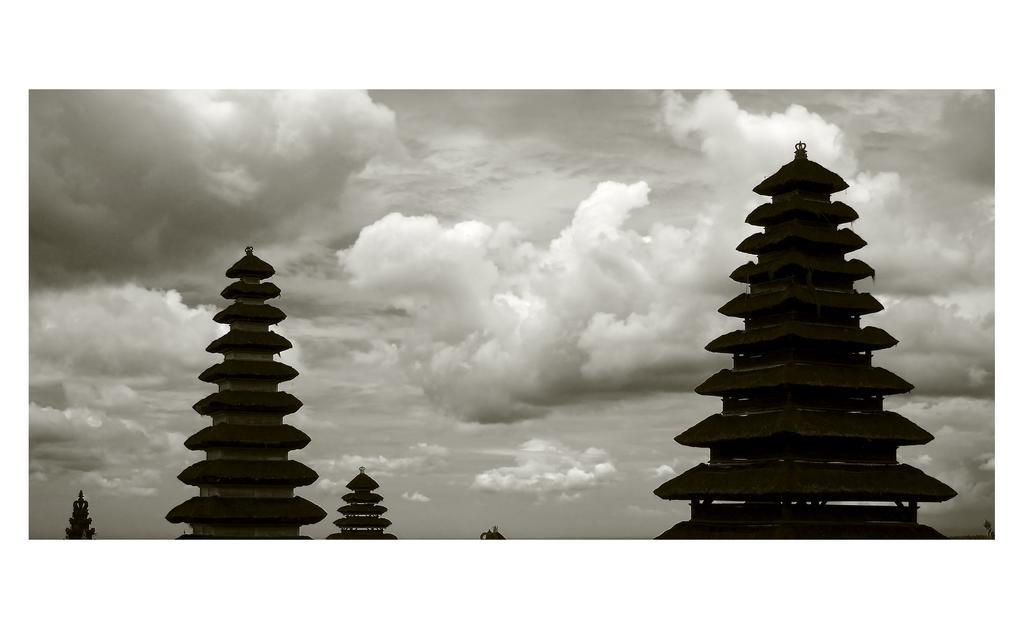 Narendra Guest House Ubud Exteriér fotografie
